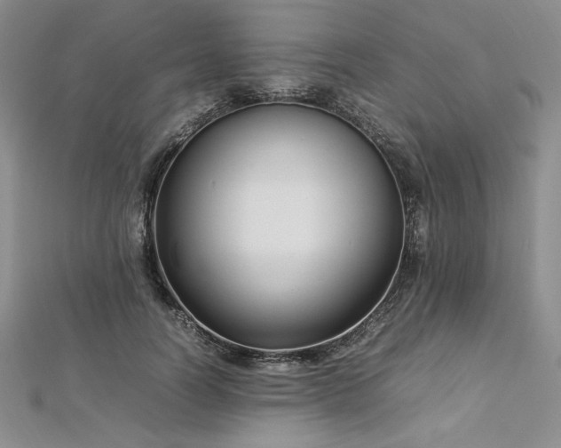 X0000113030746200908271454