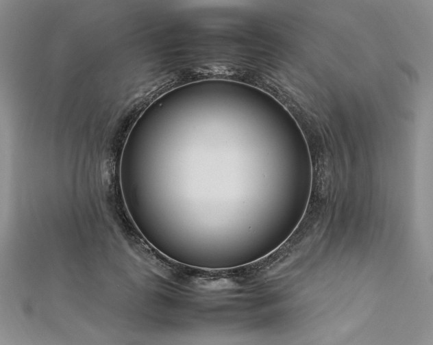 X0000113030747200908271454