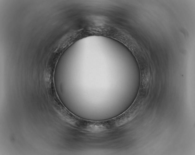 X0000113030749200908271454