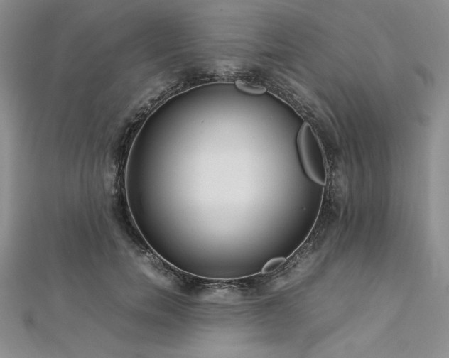 X0000113030750200908271454