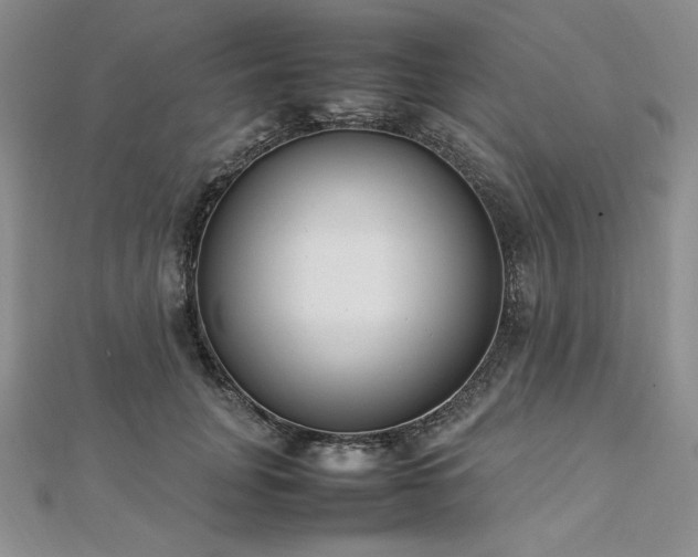 X0000113030751200908271454