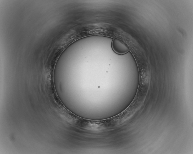 X0000113030753200908271454