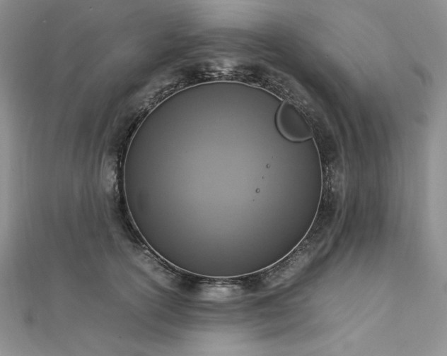 X0000113030754200908271454