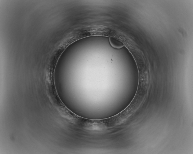 X0000113030755200908271454