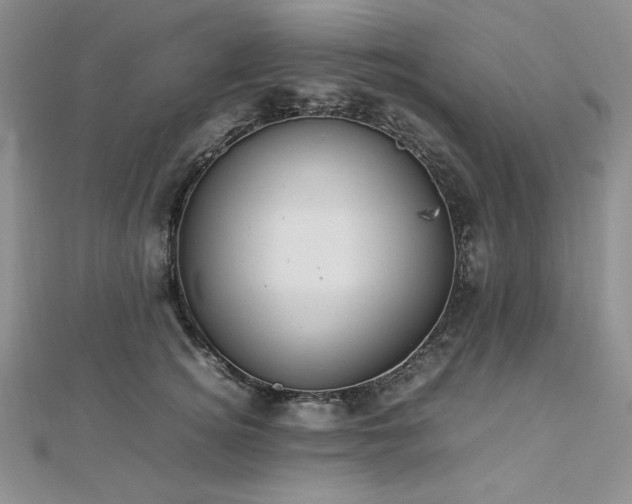 X0000113030756200908271454