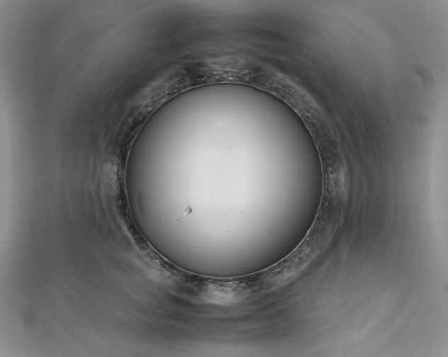 X0000113030757200908271454