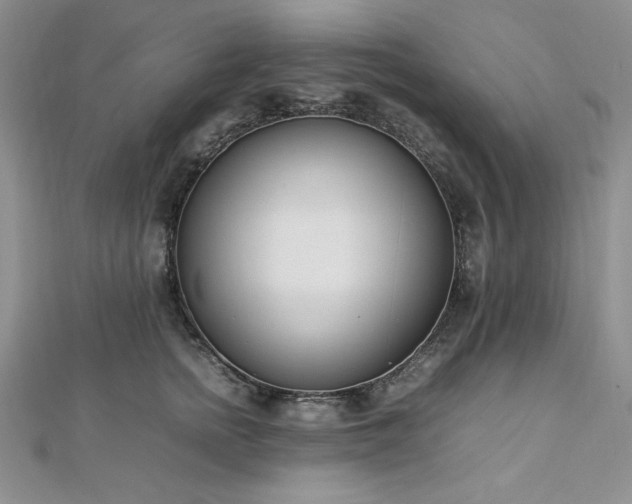 X0000113030758200908271454