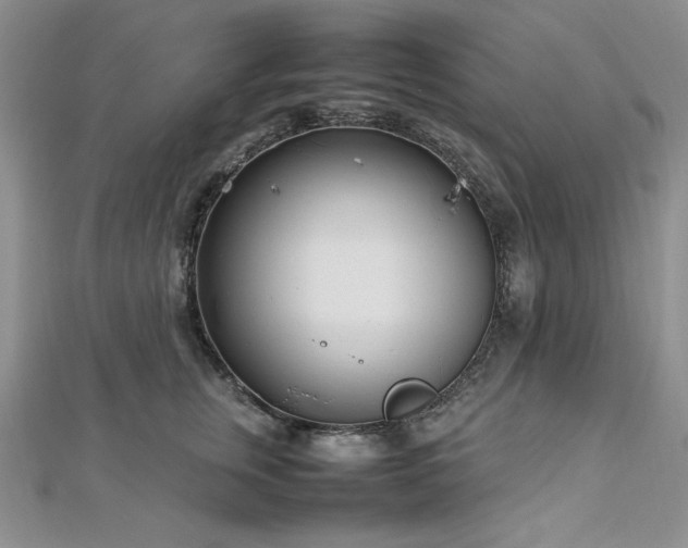 X0000113030759200908271454