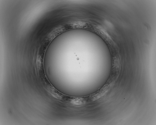 X0000113030761200908271454