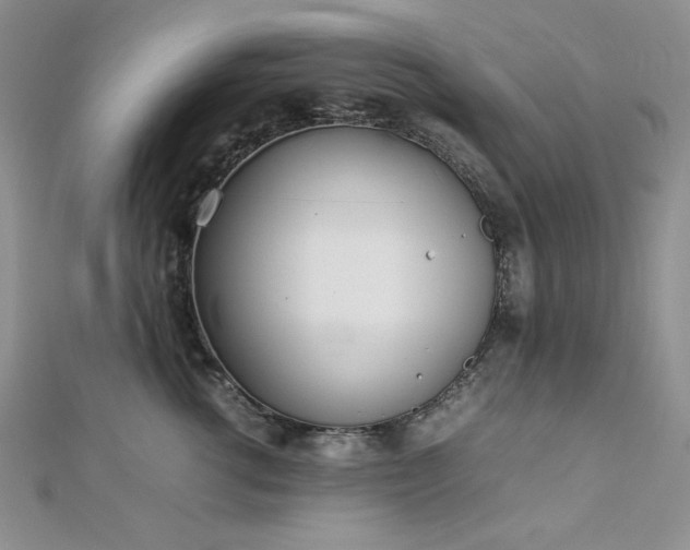 X0000113030762200908271454