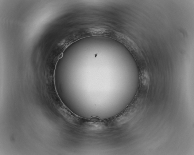 X0000113030763200908271454