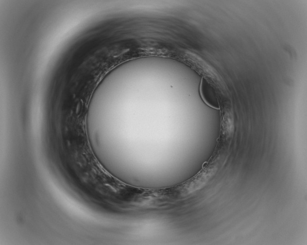 X0000113030764200908271454