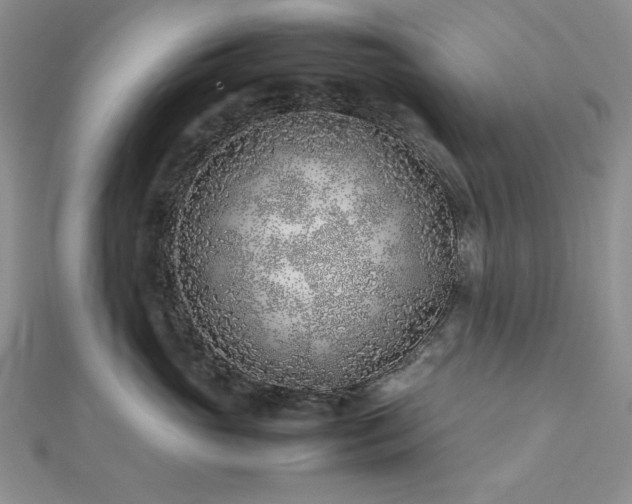 X0000113030765200908271454