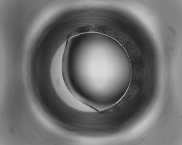 X0000113030766200908271454