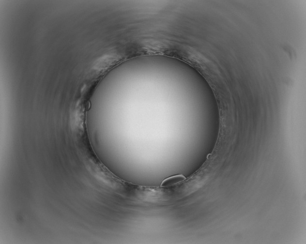 X0000113030768200908271455