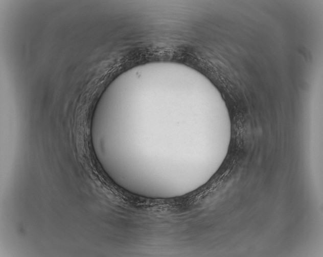 X0000113030769200908271454