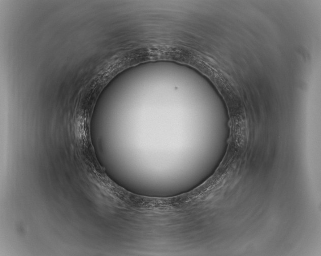 X0000113030770200908271454