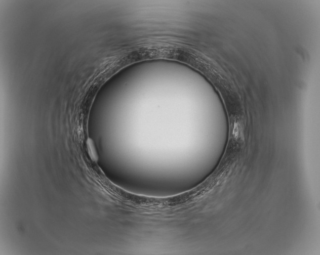 X0000113030771200908271454