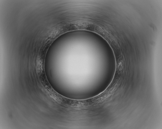 X0000113030772200908271454