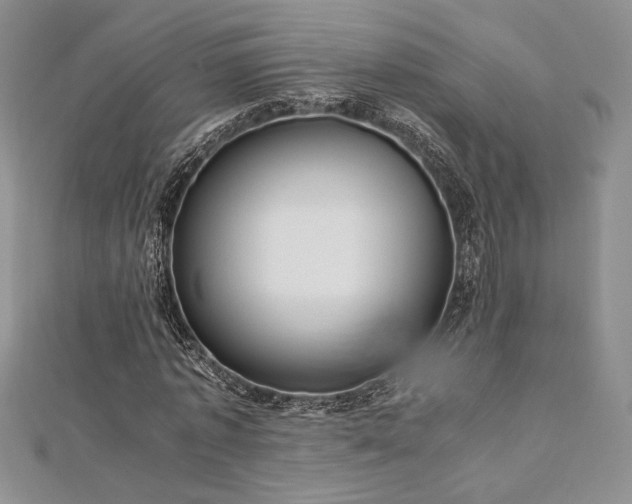 X0000113030773200908271454