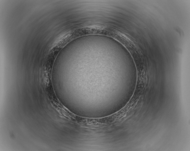 X0000113030774200908271454