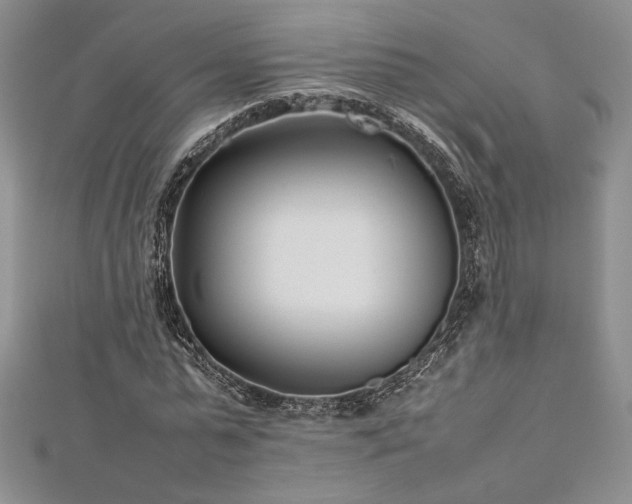 X0000113030775200908271454