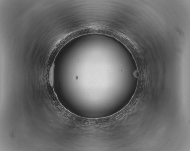 X0000113030776200908271454