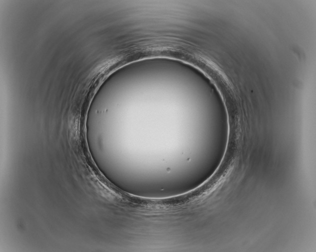 X0000113030777200908271454