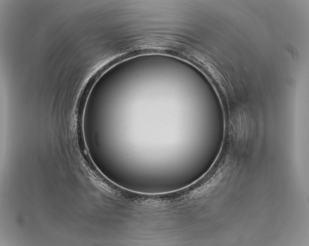 X0000113030779200908271454