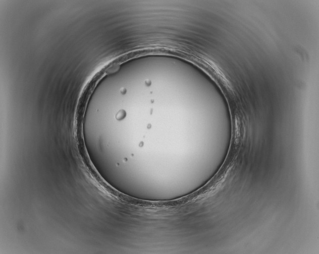 X0000113030780200908271454