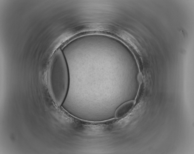 X0000113030781200908271454