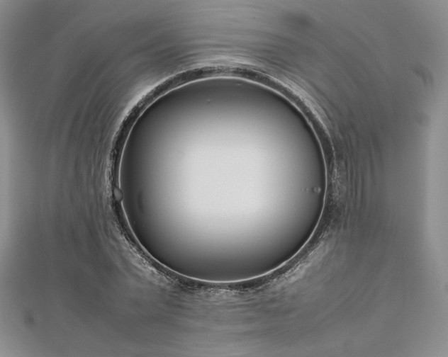 X0000113030783200908271454