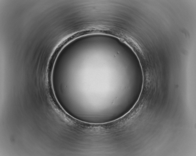 X0000113030784200908271454