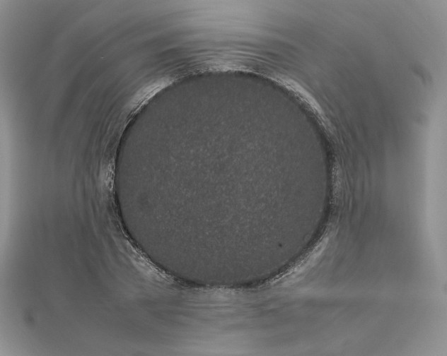 X0000113030785200908271454