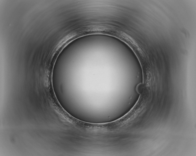 X0000113030786200908271454