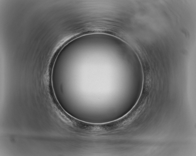 X0000113030787200908271454