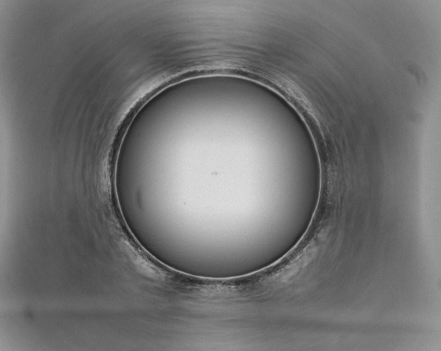 X0000113030789200908271454