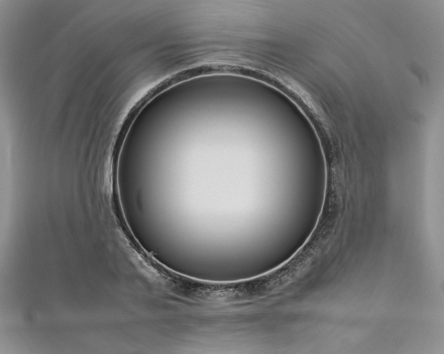 X0000113030791200908271454