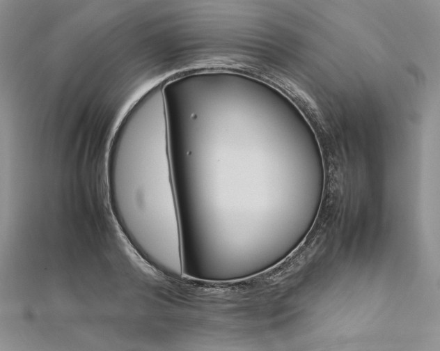 X0000113030792200908271454