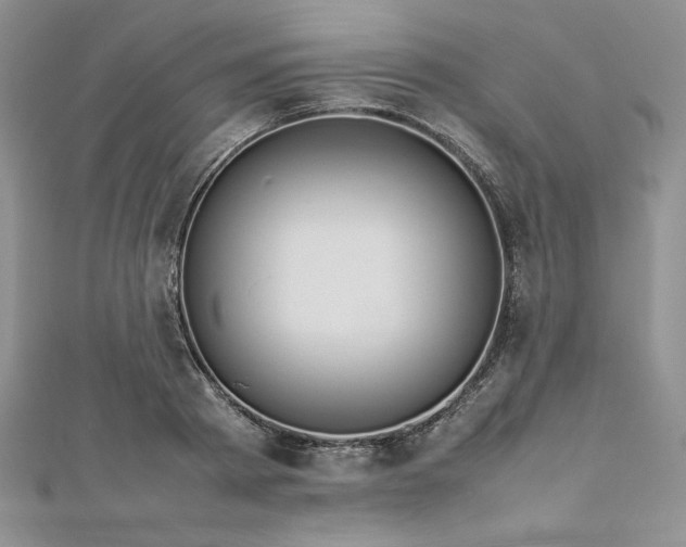 X0000113030793200908271454