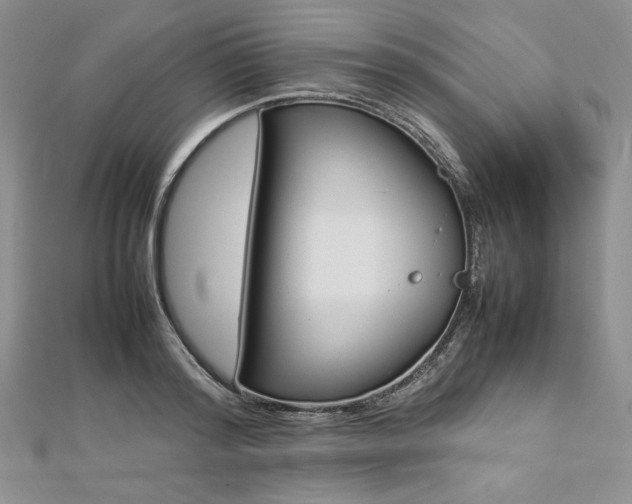 X0000113030796200908271454