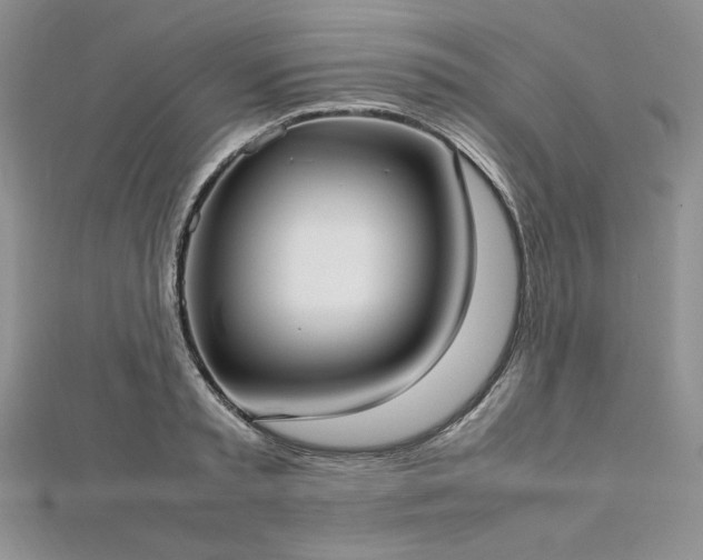 X0000113030797200908271454