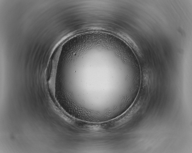 X0000113030798200908271454