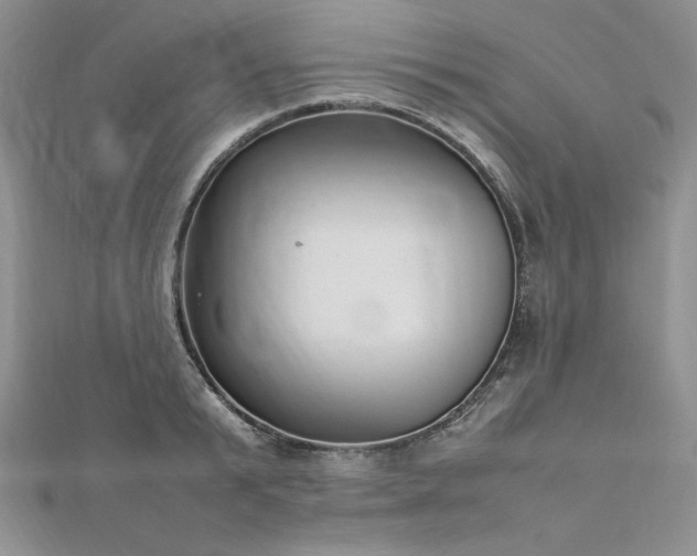 X0000113030799200908271454