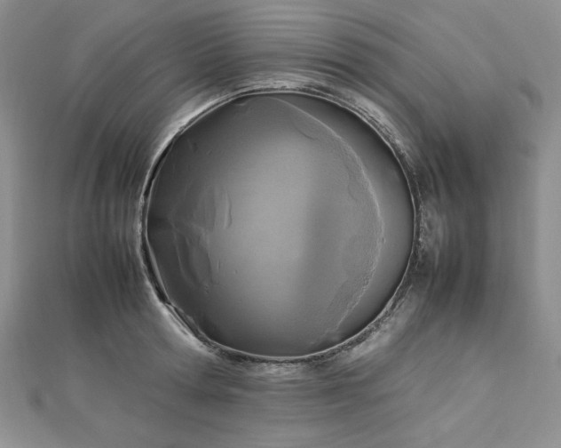 X0000113030802200908271453