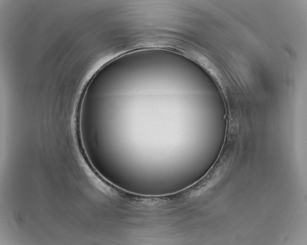 X0000113030803200908271453