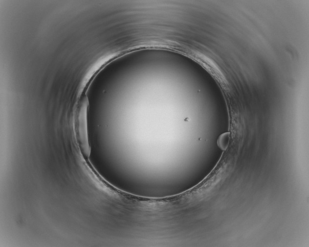 X0000113030804200908271453