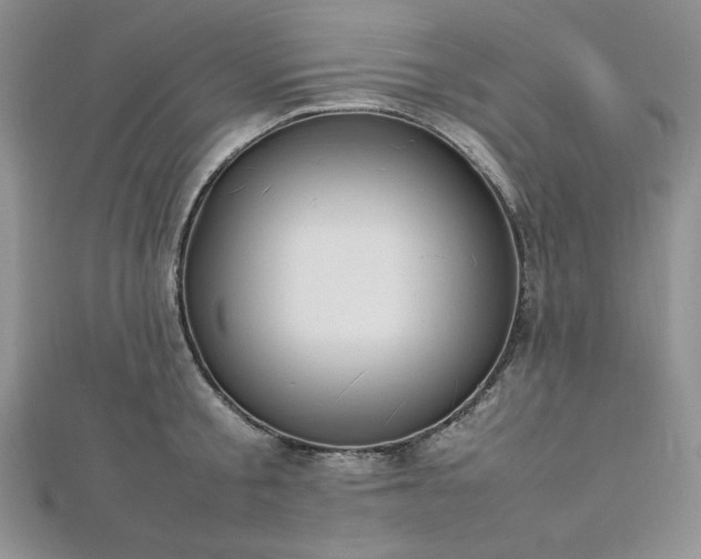 X0000113030805200908271453