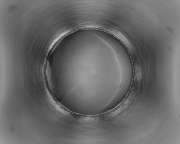 X0000113030806200908271453