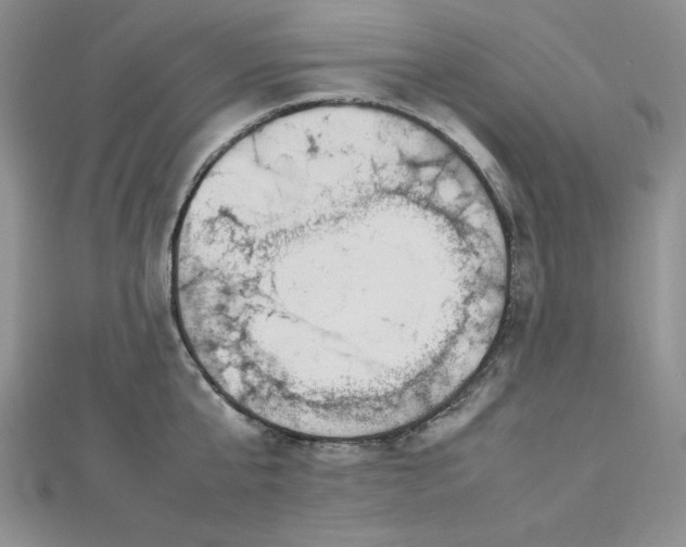 X0000113030807200908271453